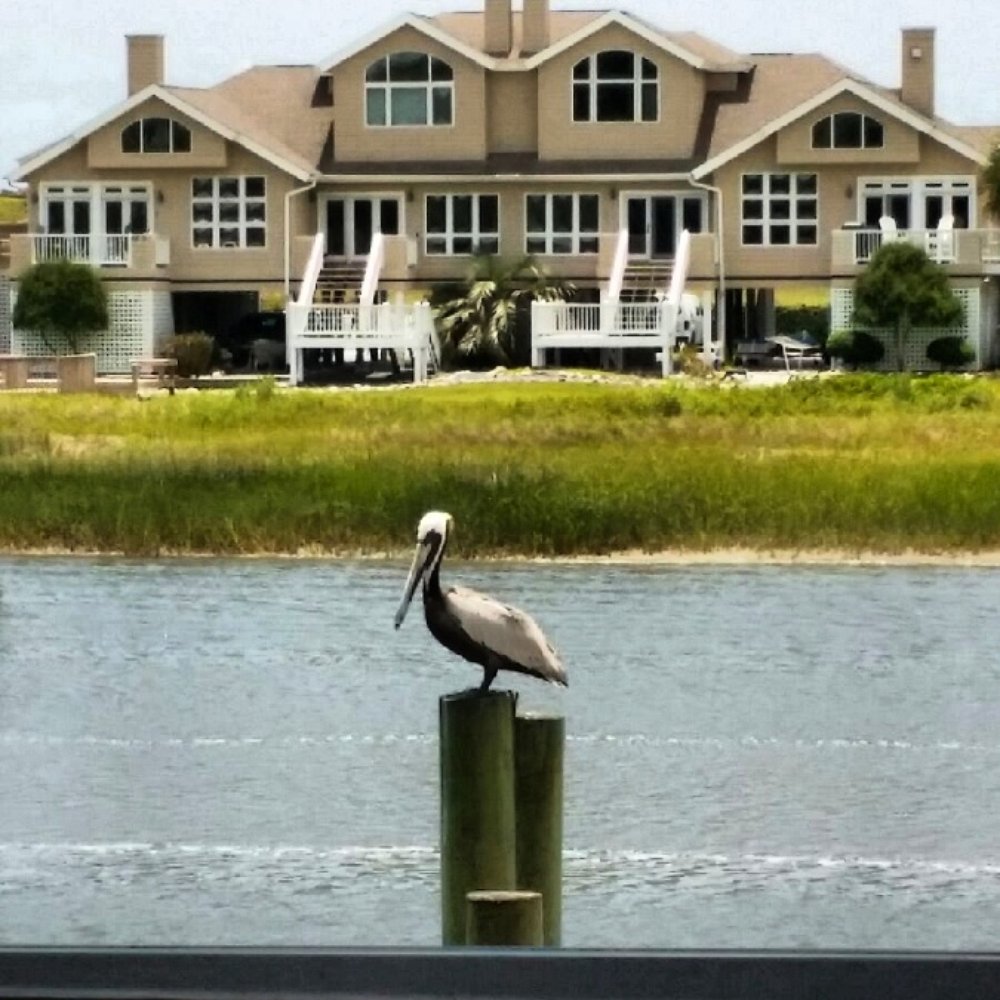 Provision Company - View from Provision Company dining area. Beautiful! - Seafood Near Me - Holden Beach, North Carolina Provision Company - View from Provision Company dining area. Beautiful! - Seafood Near Me - Holden Beach, North Carolina