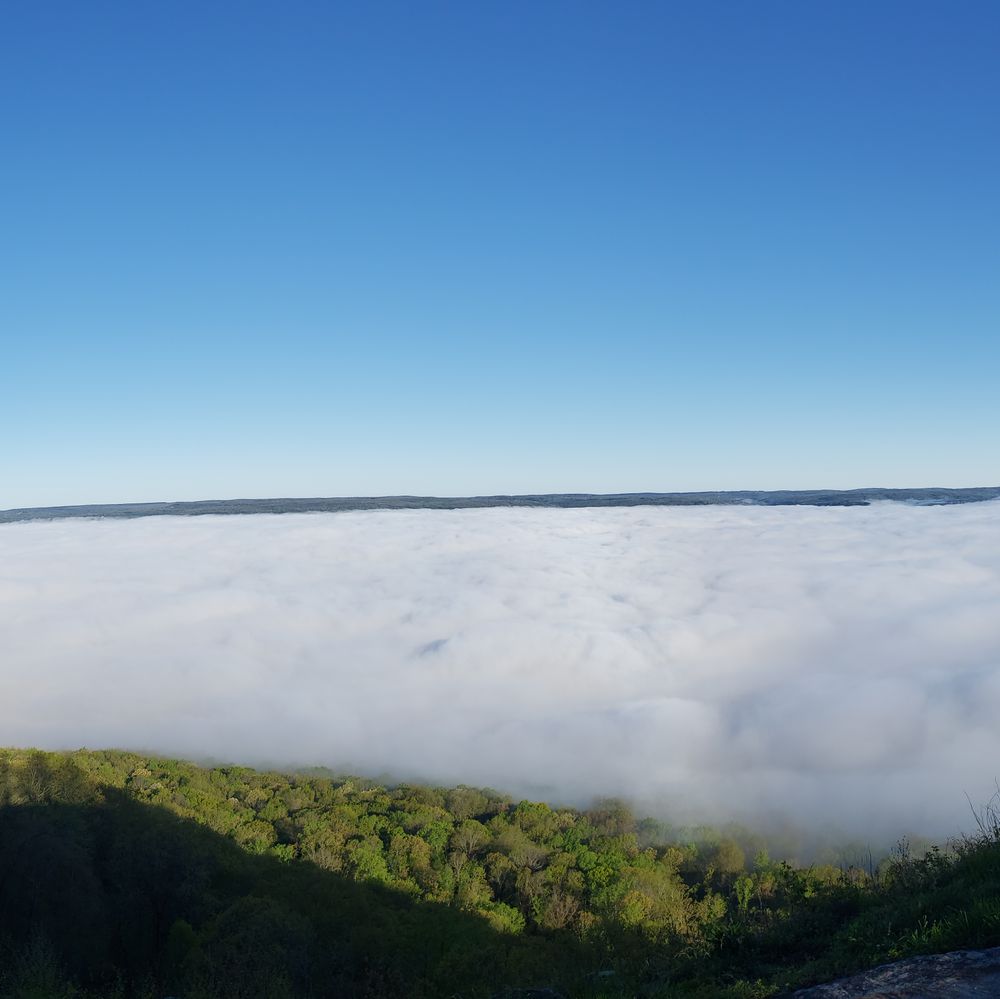 TENNESSEE TREE TOPPERS Updated October 2024 1570 Window Rock Rd