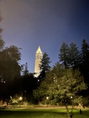 The Campanile by null