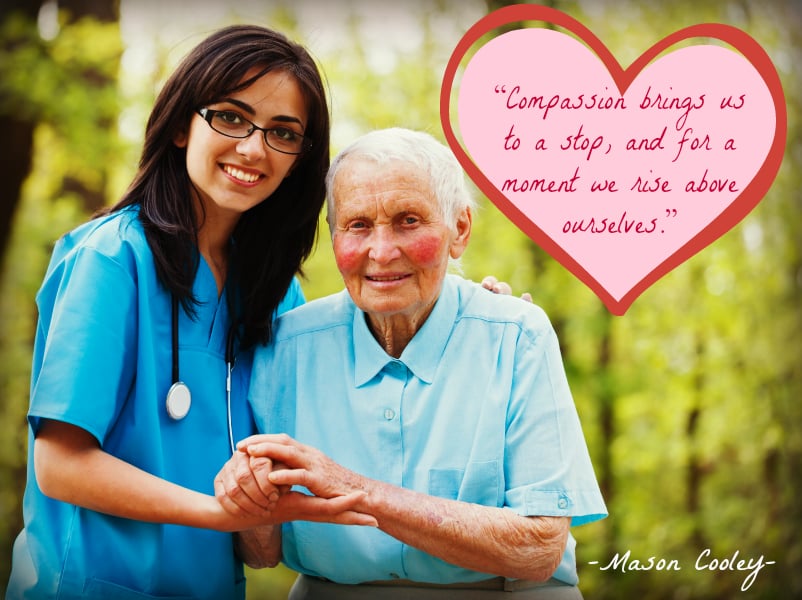 Comfort Sitters - patient advocate in Madison, TN