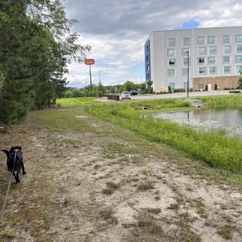 Hampton Inn Smithfield Selma - There is a 1/3 mile. (Approx) path around a pond behind the hotel that's perfect for walking your dog. - Hotels Near Me - Smithfield, North Carolina