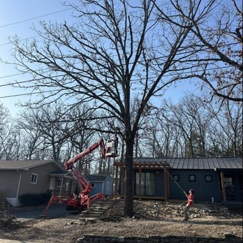 Advanced Arbor Professional Tree Care - Tree Services Near Me Advanced Arbor Professional Tree Care - Tree Services Near Me