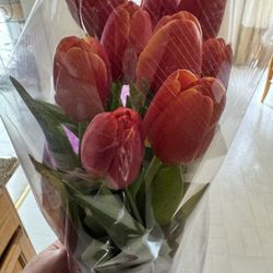 Sparr's Florist and Greenhouses - Fresh cut tulips