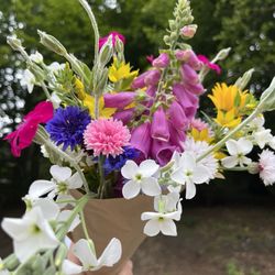 Heidjer Bloomen - Verkaufsstand und Sträuße auf Bestellung