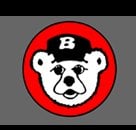 Slide of Bayer's Plumbing