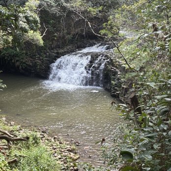 Hike Maui - Tours Near Me - Kahului, Hawaii