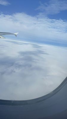 American Airlines by null