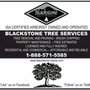 Photo of Blackstone Tree Services