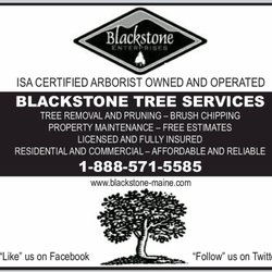 Blackstone Tree Services