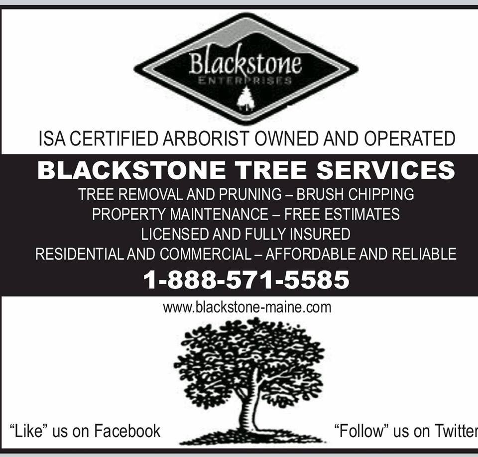 Blackstone Tree Services - tree service in Saco, ME
