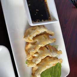 Chicken Dumplings Soup