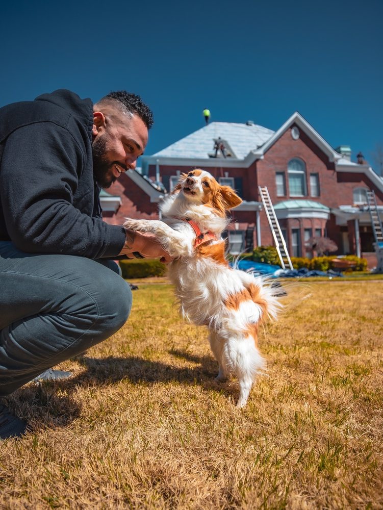 Slide of Southern Standard Roofing & Exteriors