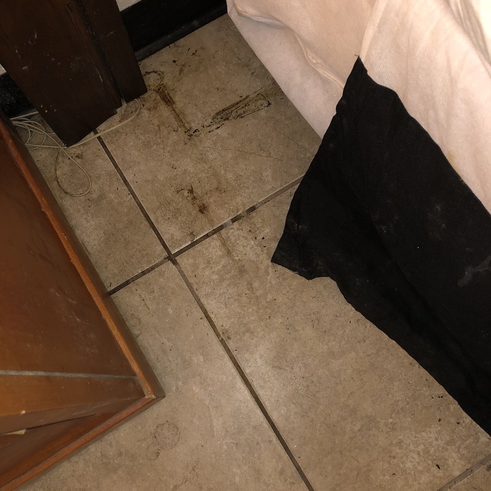 Budget Inn Punta Gorda - Hotels Near Me - Punta Gorda, Florida