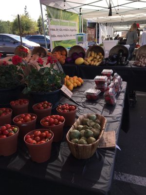 Ahwatukee Farmers Market by null