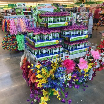 Dollar Tree - Discount Store Near Me - Fernandina Beach, Florida Dollar Tree - Discount Store Near Me - Fernandina Beach, Florida