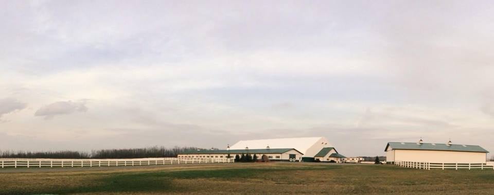Brookfield Farms Equestrian Center - equestrian in Clarence, NY