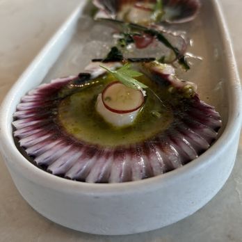 San Laurel - Scallop - Spanish Near Me - Los Angeles, California San Laurel - Scallop - Spanish Near Me - Los Angeles, California