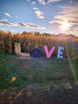 Snyder's Farm by null