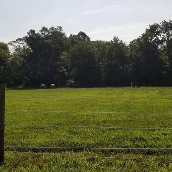 Zenith Farms - Horse Boarding Near Me - Milford, Delaware Zenith Farms - Horse Boarding Near Me - Milford, Delaware