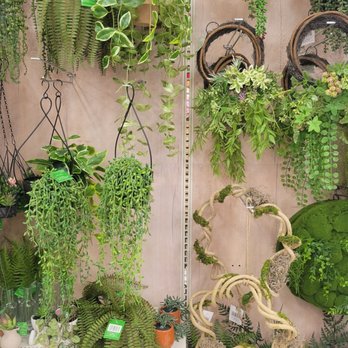 Michaels - Fake greenery for the house. - Arts & Crafts Near Me - Chandler, Arizona
