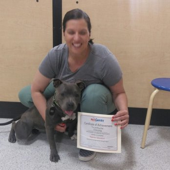PetSmart Dog Training - Channing graduated part one of her 3 training courses! - Pet Stores Near Me - Reno, Nevada PetSmart Dog Training - Channing graduated part one of her 3 training courses! - Pet Stores Near Me - Reno, Nevada