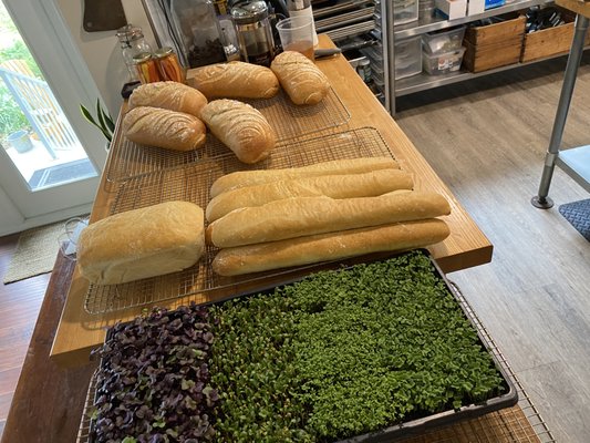 Backyard Farm Chef's Table by null