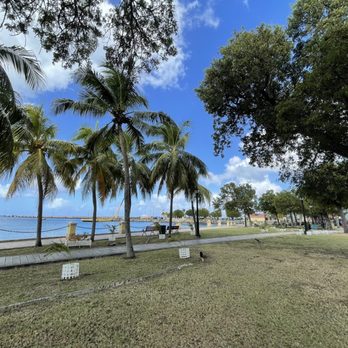 Polly's at the Pier Cafe - Coffee & Tea Near Me - Frederiksted, Virgin Islands