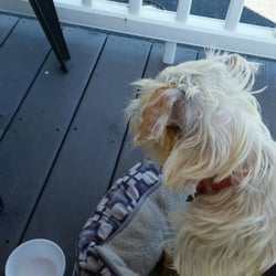 Captain's Galley - Dog friendly patio.