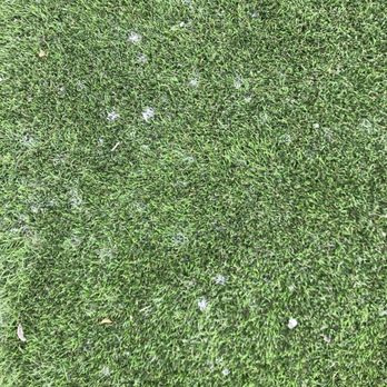 Sol Pacific Pool Plastering - concrete debris left on turf - Pool Cleaners Near Me - El Cajon, California