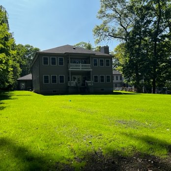 Mason Crew and Landscape - Two weeks after the project. Grass is growing perfectly and evenly. Few more weeks and it will be ready for first cut. - Landscaping Near Me Mason Crew and Landscape - Two weeks after the project. Grass is growing perfectly and evenly. Few more weeks and it will be ready for first cut. - Landscaping Near Me