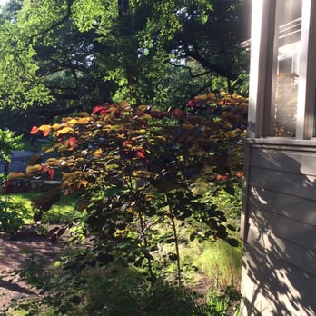 Garden Details - Tarrytown yard - Landscaping Near Me Garden Details - Tarrytown yard - Landscaping Near Me
