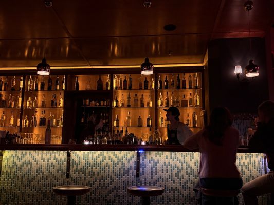 The Good Lion by null