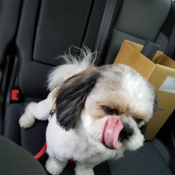 Pets R People 2 - Pet Groomers Near Me - Hemet, California Pets R People 2 - Pet Groomers Near Me - Hemet, California