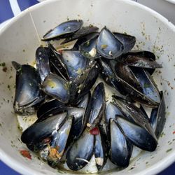 Noordzee - Mer du Nord - Mussels always wonderful 9/26