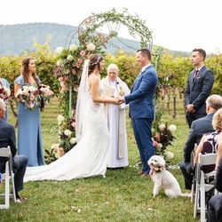 Tourterelle Floral Design