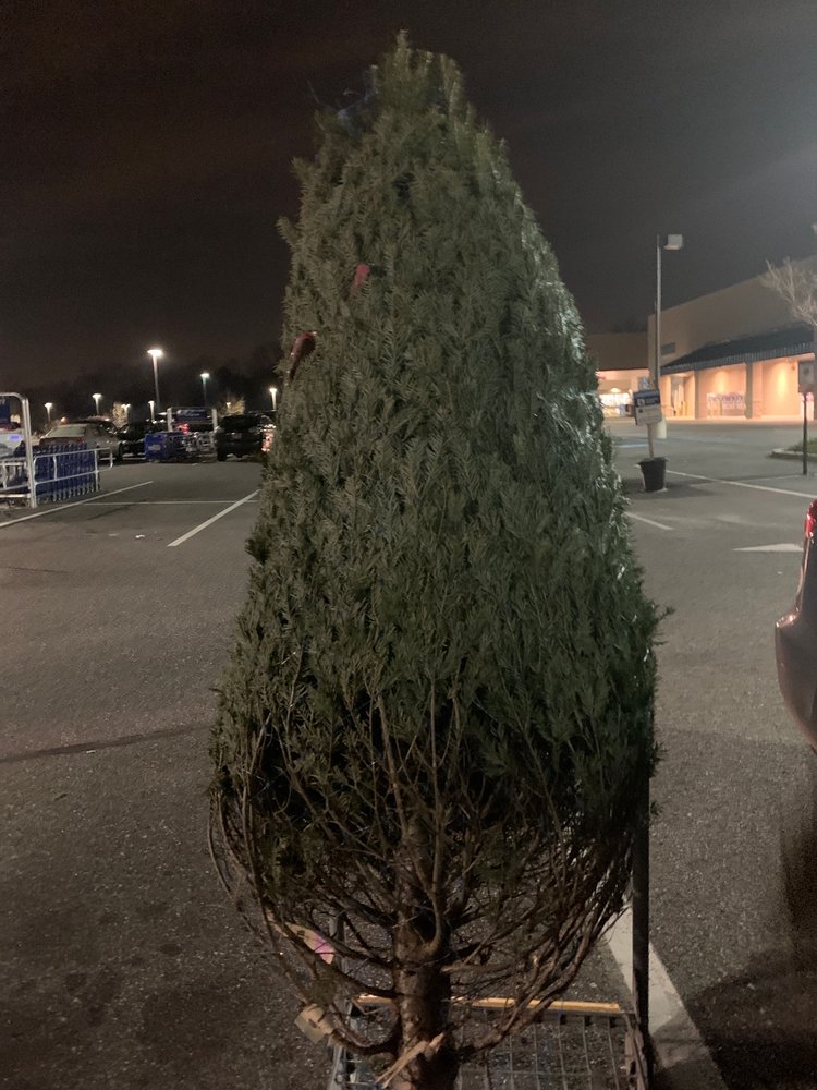 LOWE’S HOME IMPROVEMENT Updated September 2024 17 Reviews 611