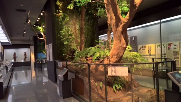 Okinawa Prefectural Museum and Art Museum (Okimyu) by null