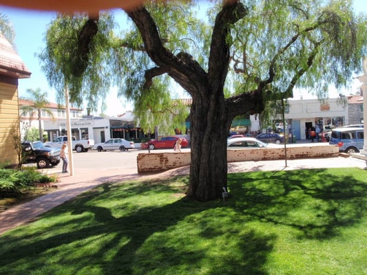 New Orleans Creole Cafe by null