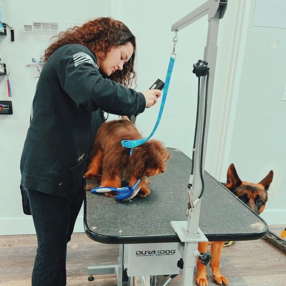 LUCKY PAWS PET GROOMING Updated August 2024 603 Hicksville Rd