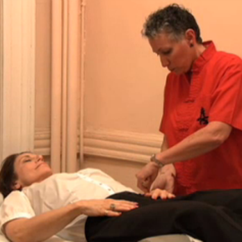 Cindy E Levitz, Licensed Acupuncturist - Acupuncture Near Me - New York, New York