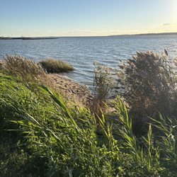East Shore Park