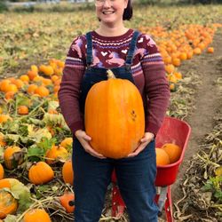 Mosby's Pumpkin Patch - They had some nice beefy pumpkins and plenty of wheelbarrows for carting around your haul.