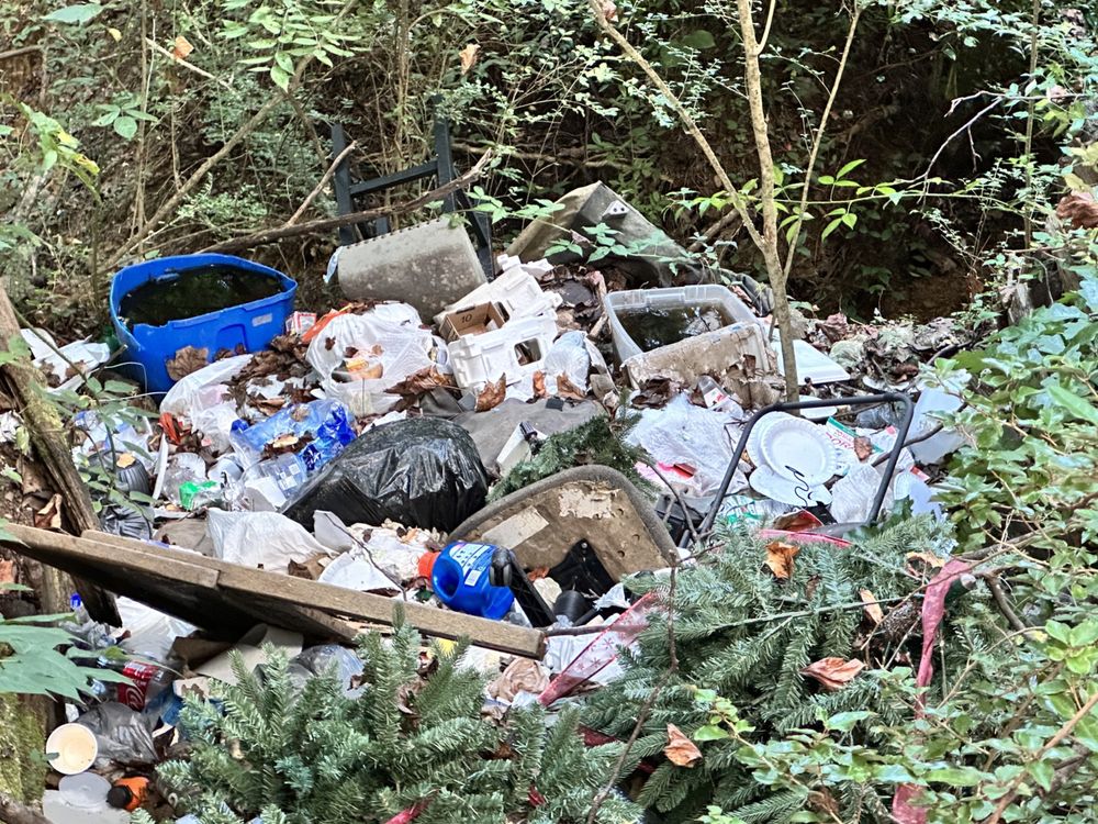 Riverchase Landing Apartments - property management company in Hoover, AL