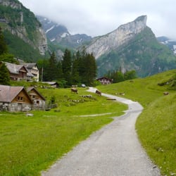 Berggasthaus Forelle