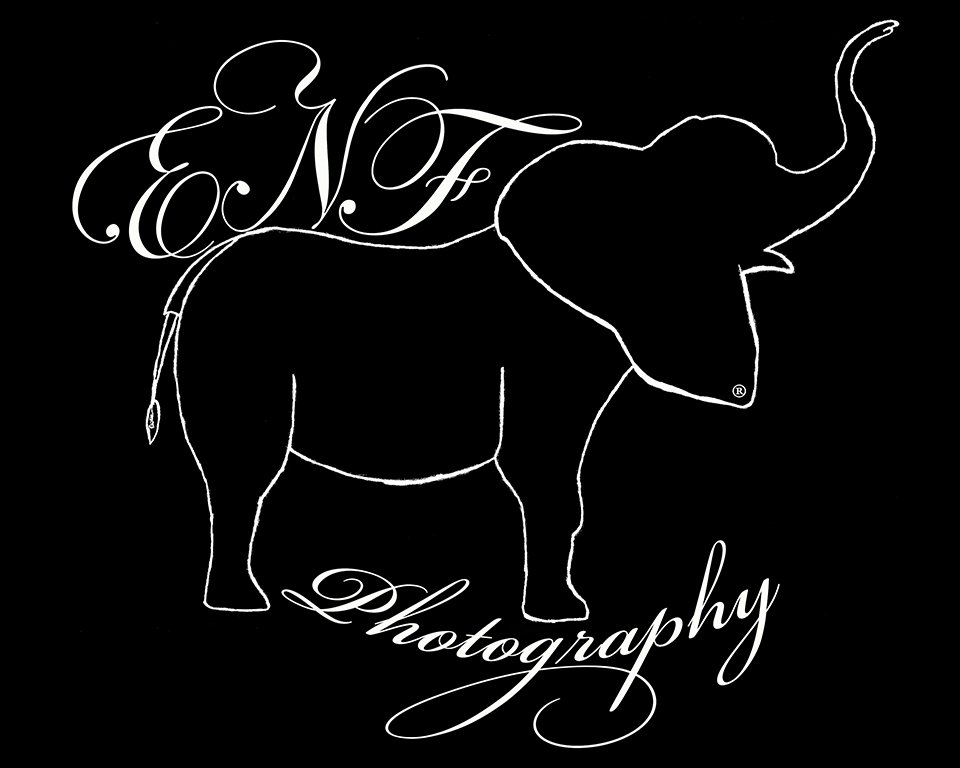 ENF PHOTOGRAPHY City, LA Yelp