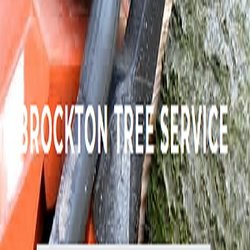 Brockton Tree