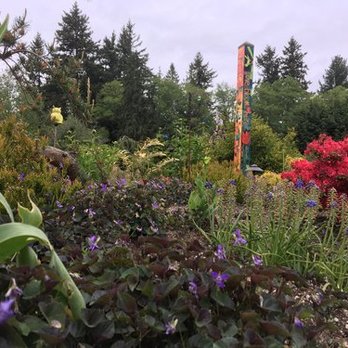 Greenridge Landscape - plants - Landscaping Near Me - Bothell, Washington Greenridge Landscape - plants - Landscaping Near Me - Bothell, Washington