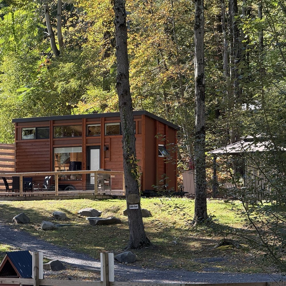 TOP 10 BEST Dog Friendly Hotel near Phoenicia, NY - Updated 2026 - Yelp