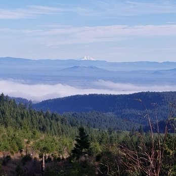 Starker Forests - Hiking Near Me - Corvallis, Oregon Starker Forests - Hiking Near Me - Corvallis, Oregon