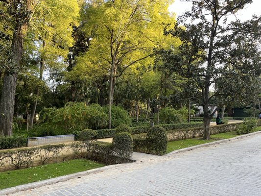 Parque de María Luisa by null